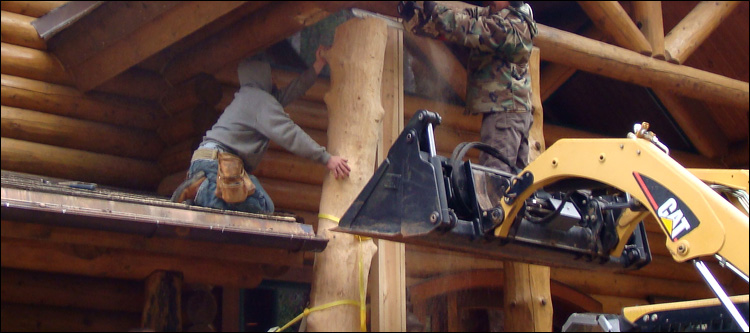 Log Home Log Replacement  West Millgrove, Ohio