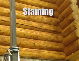  Wood County, Ohio Log Home Staining